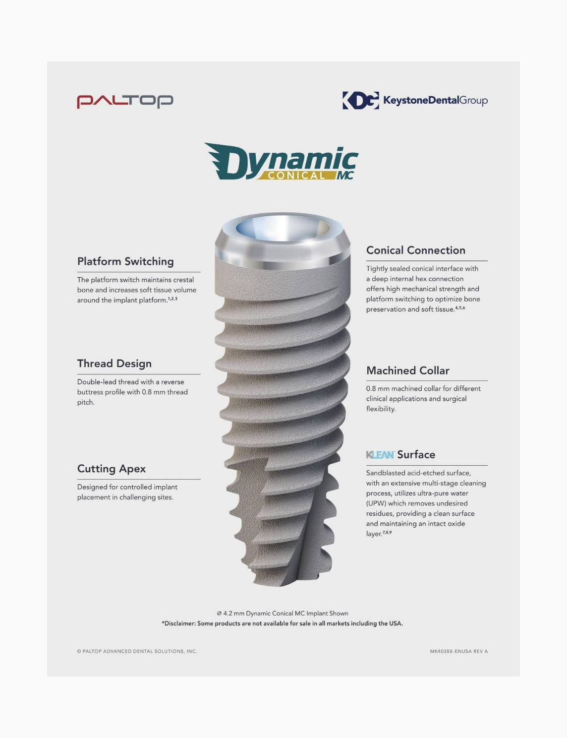 Paltop Dynamic Conical MC Flyer