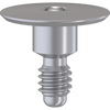 Molaris Internal Hex Cover Screw