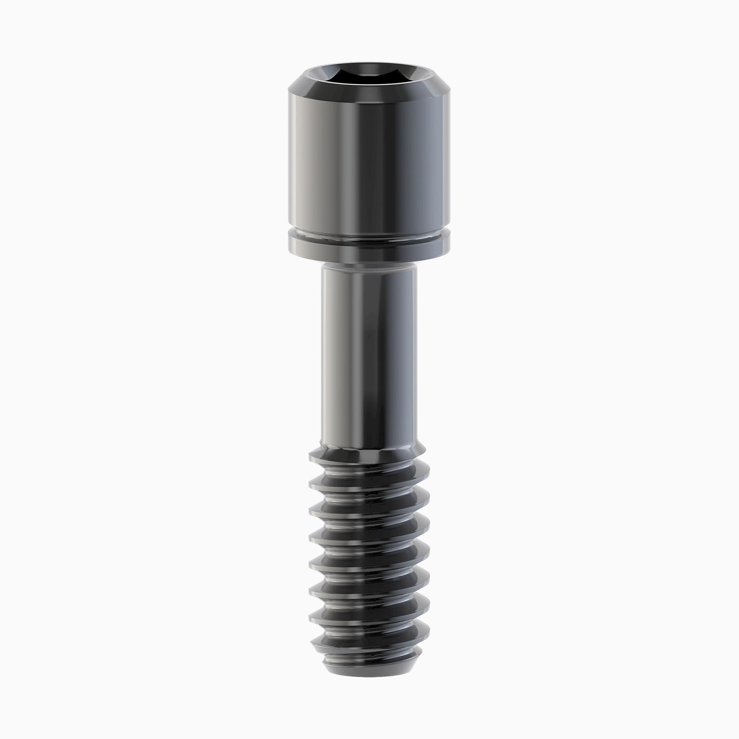 Internal HexScrew, TiBase/BlankDLC, NP1.25 Hex