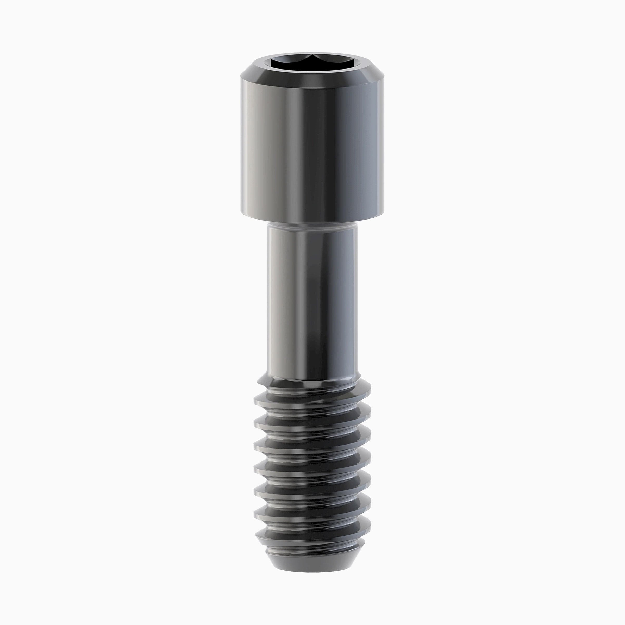 IHScrewTiBase/BlankDLC SP/WPØ1.25 Hex