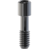 Internal Hex Screw, DLC, NSP/WP, 1.25 Hex