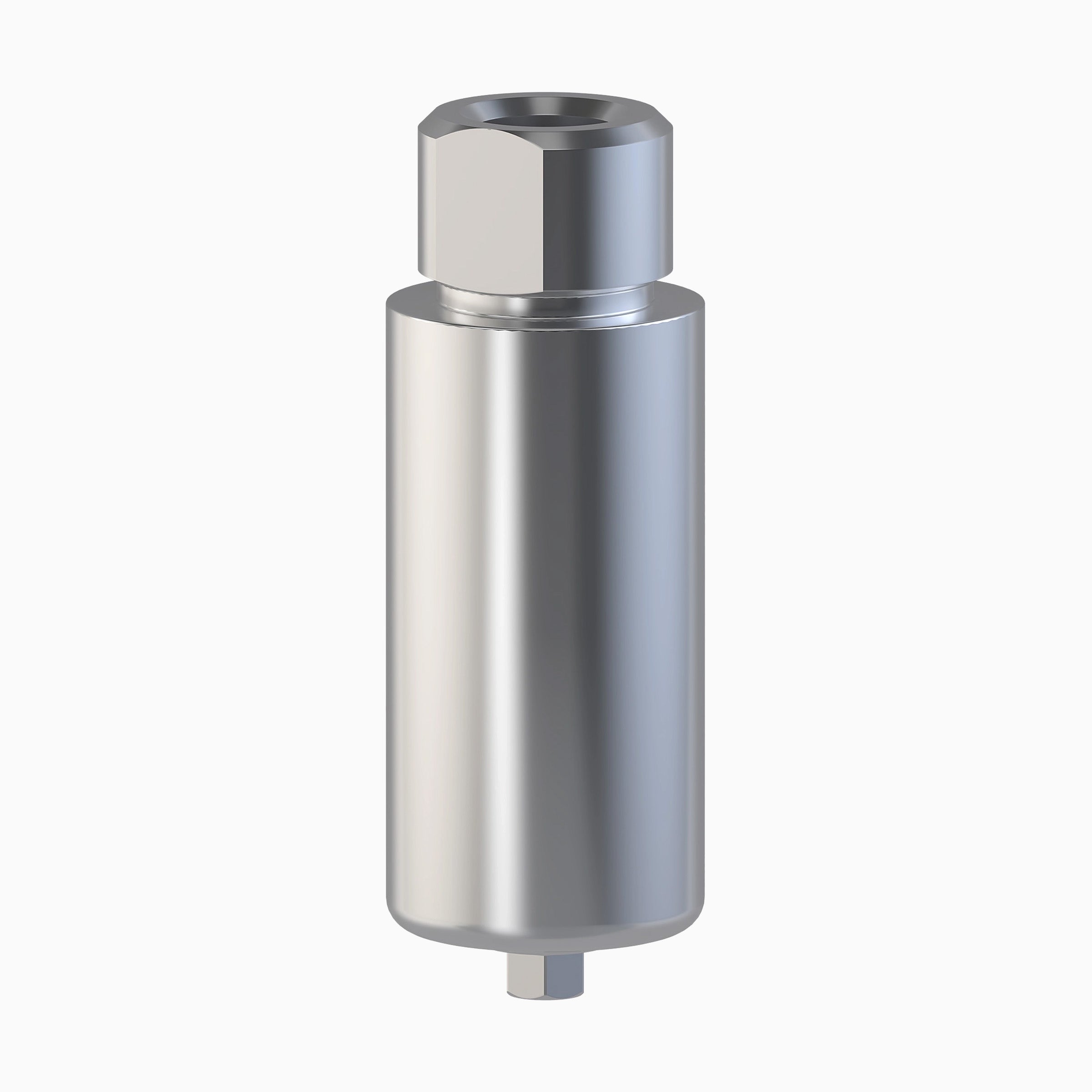 Internal Hex TiBlank, PM, WP, Ø6.0, 10.0 mm