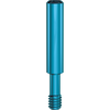 Paltop Impression Post Screw, NP, Closed