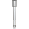Paltop Slim Short Impression Post Screw, NP