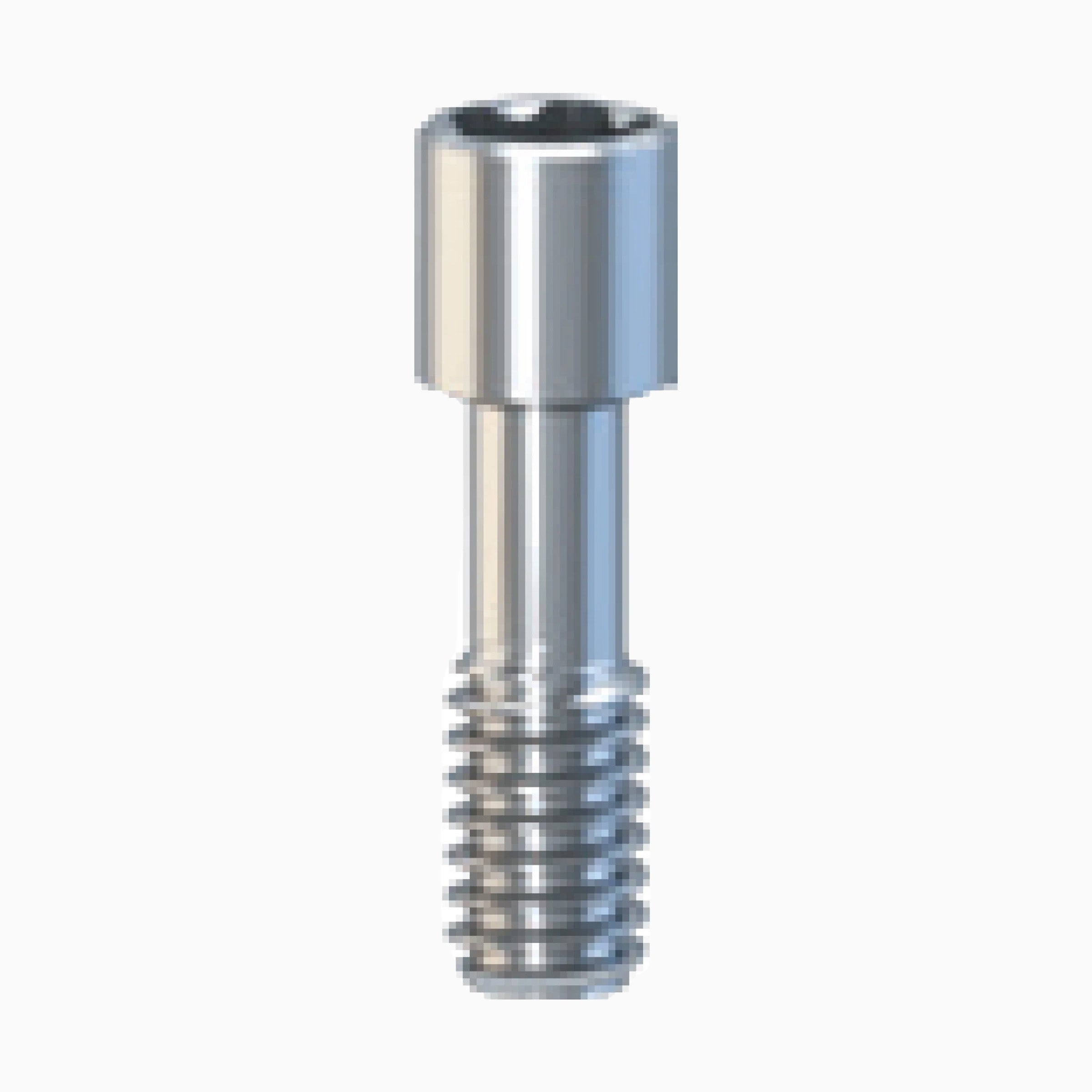 Internal Hex ACS Abutment, Screw NP