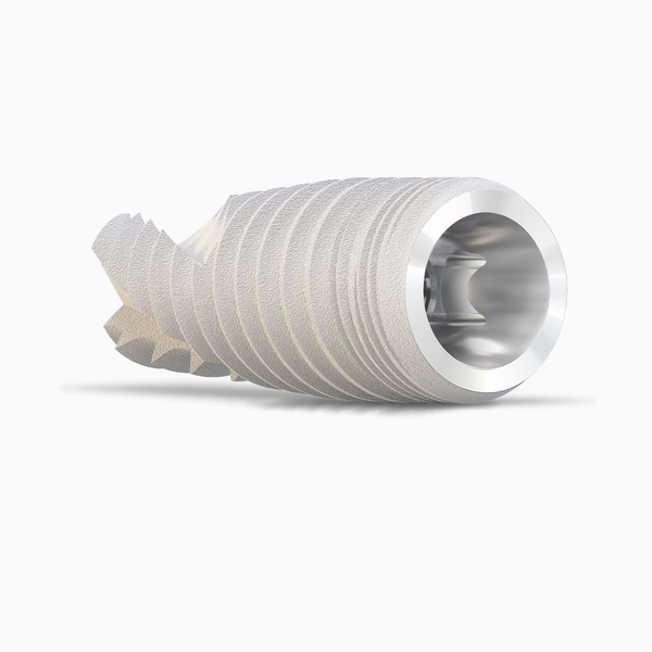 Dynamic Conical