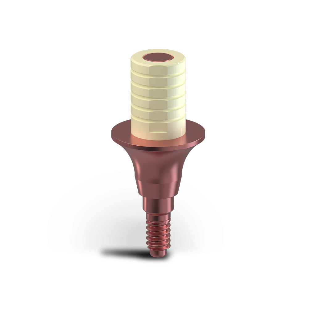 Immediate Temporary Abutments