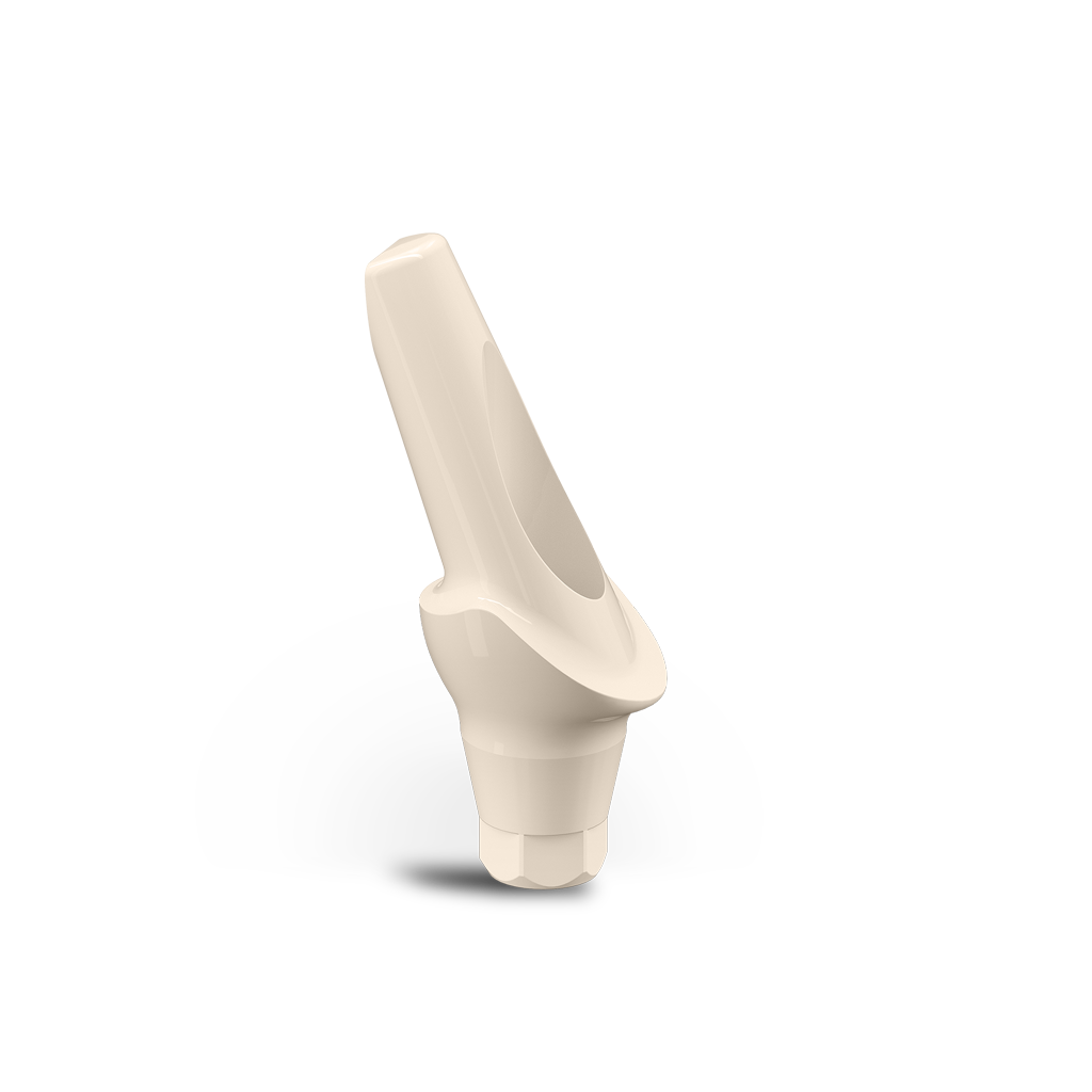 PEEK Temporary Aesthetic Abutments
