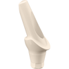 GENESIS ACTIVE™ 20° Angled Aesthetic PEEK Temporary Abutment, Concave, Ø 4.5, H 1.0 mm