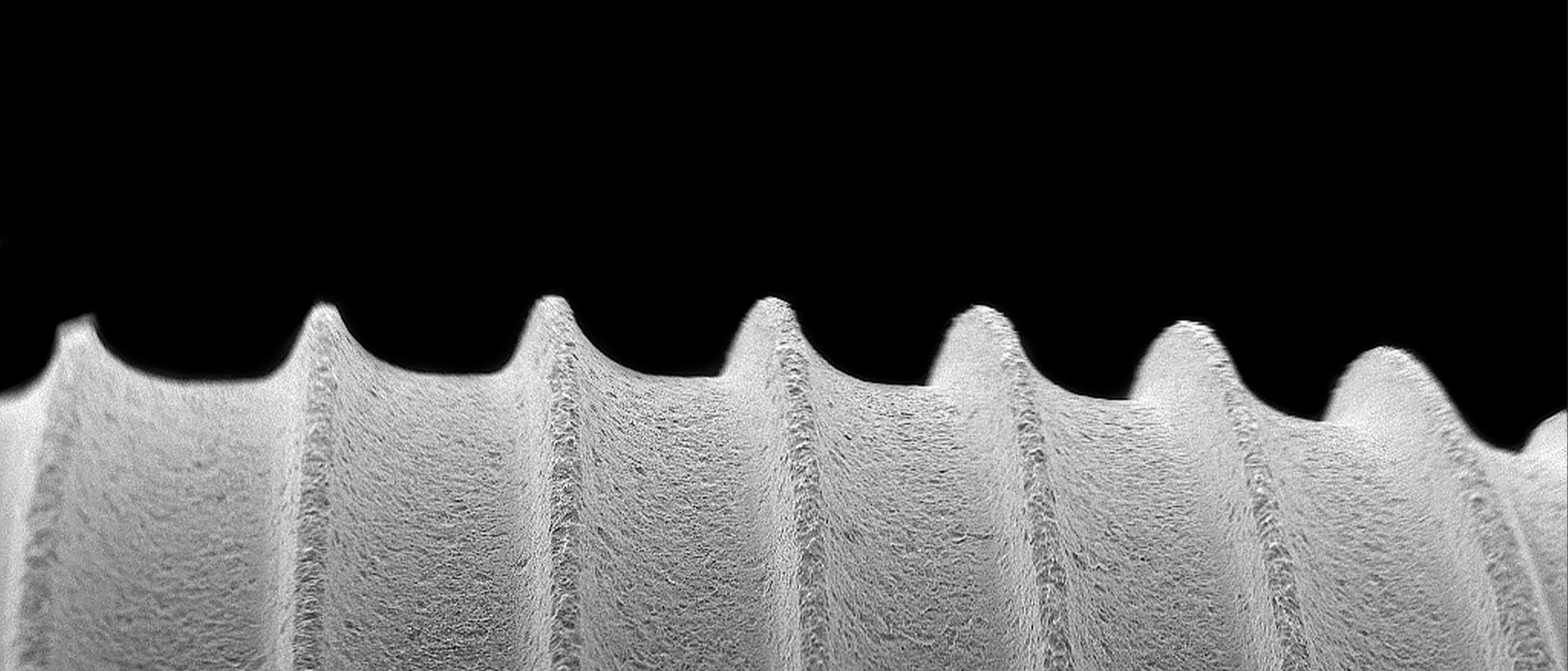 PrimaConnex TiLobe Implants – Keystone Dental Group