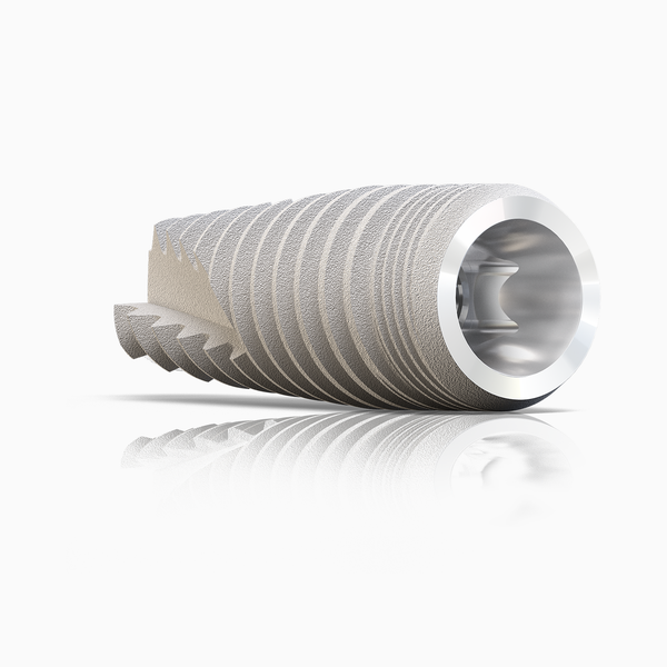 Paltop Conical Active
