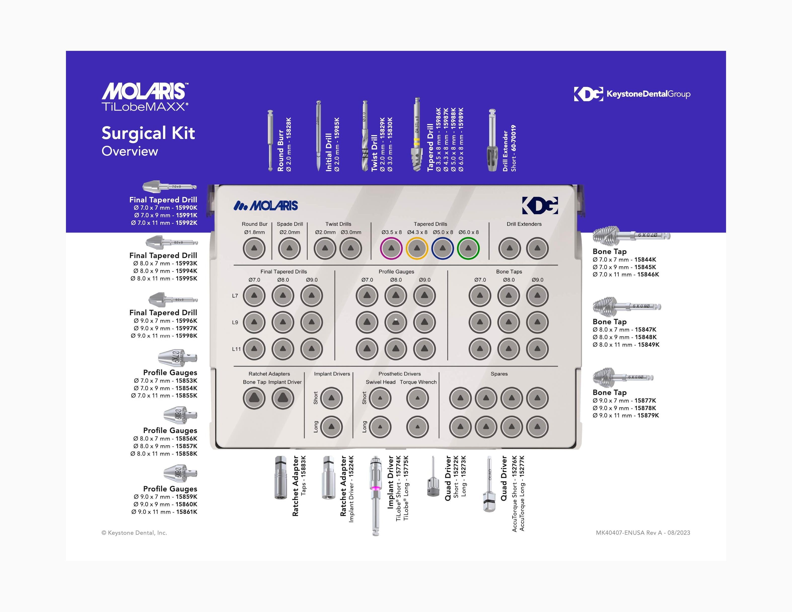 Molaris Surgical Wall Chart
