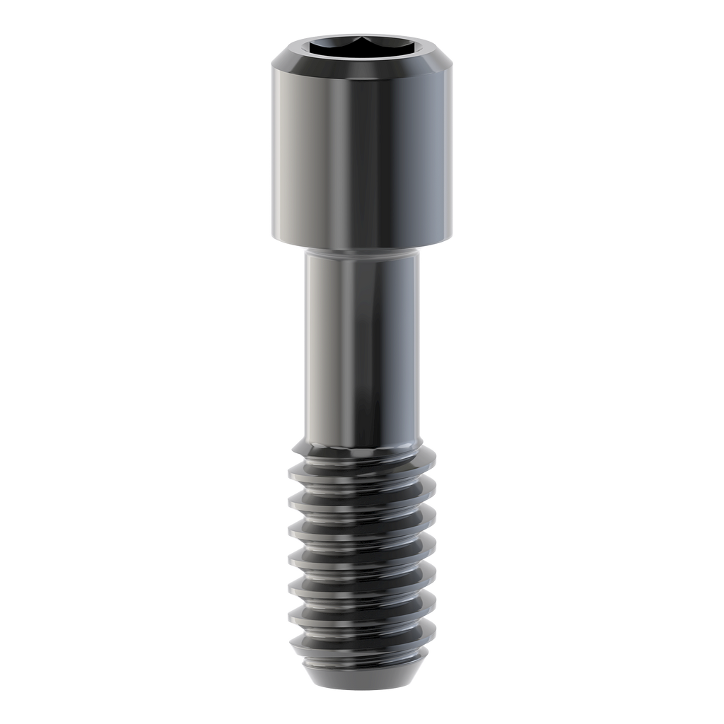 Internal Hex Screw, DLC, NSP/WP, 1.25 Hex