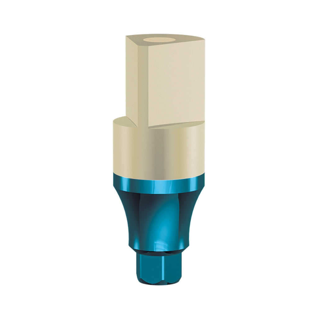 Internal Hex Scan Abutment