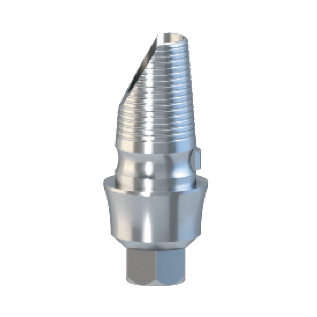 Internal Hex Titanium Base Round Anterior