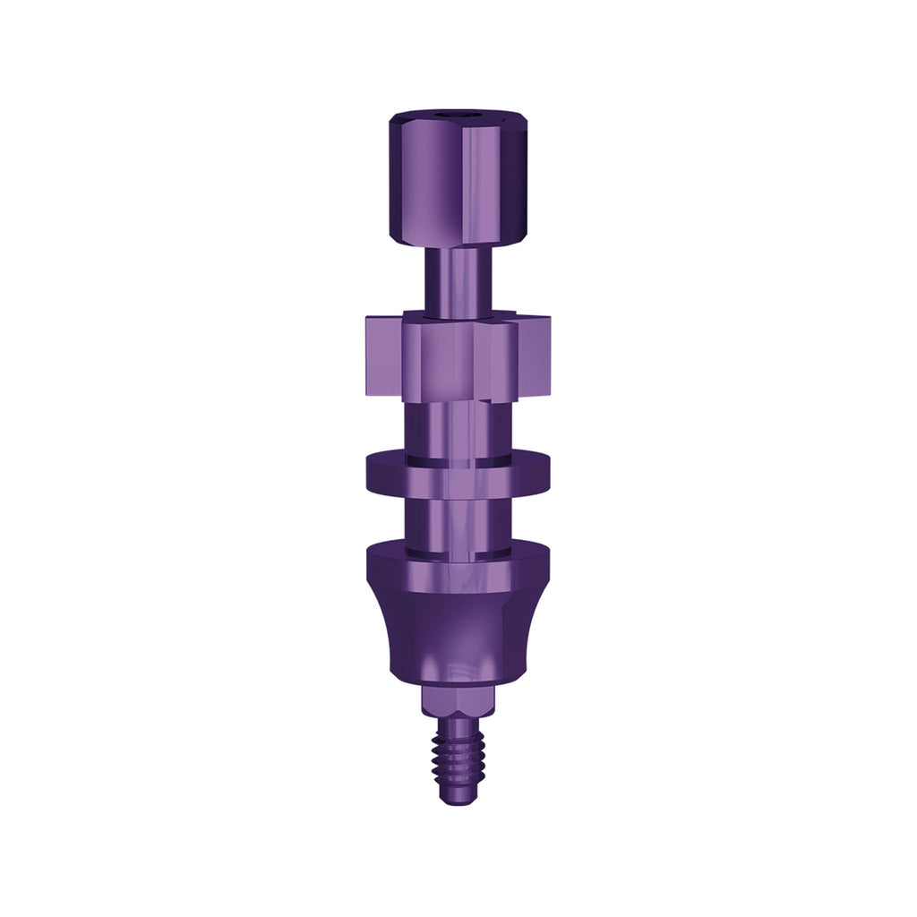 Paltop Internal Hex Impression Post, NP, Slim, Open